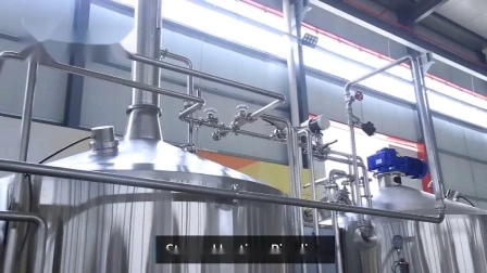 Bier-Gärtank-Kühlmantel, konischer 500-Liter-Unitank für Pub